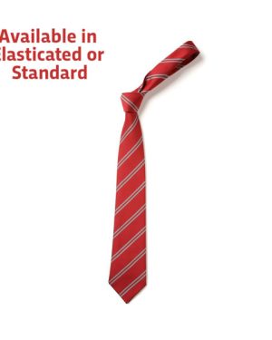DS129 St Johns C of E School Tie Red/Grey