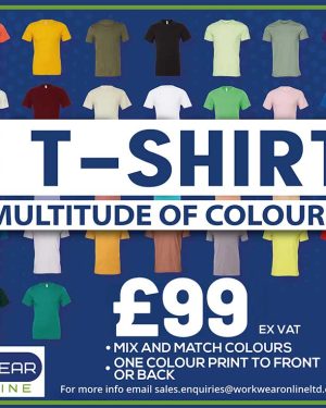15 Premium t-shirts custom printed front or back £99