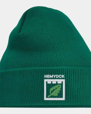 BB45B Hemyock School Logo Beechfield Kids Original Cuffed Beanie
